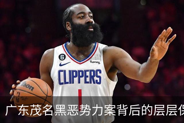 广东茂名黑恶势力案背后的层层保护伞之谜